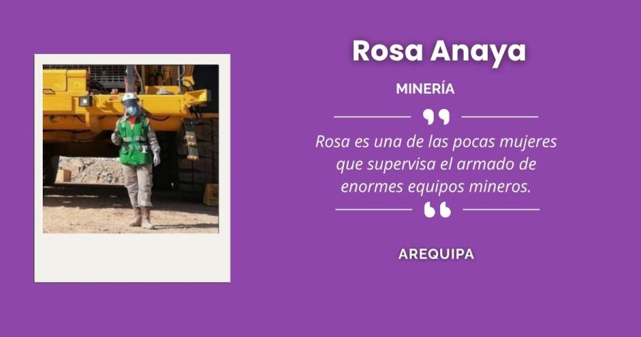 Rosa Anaya, destacada ingeniera de minas arequipeña